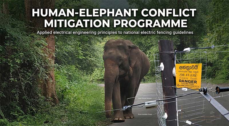 Conservation project image — replace with your own